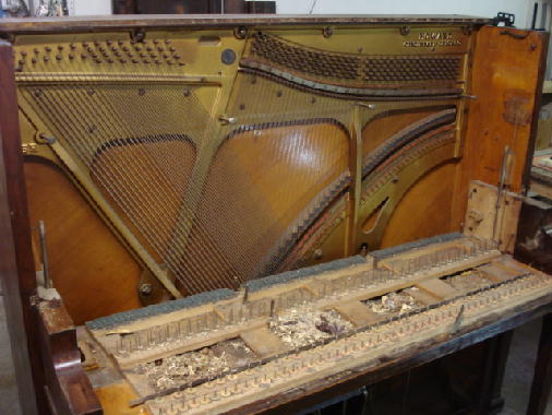 1 - Upper Player & Piano Action removed for closer inspection 1 - Upper Player & Piano Action removed for closer inspection